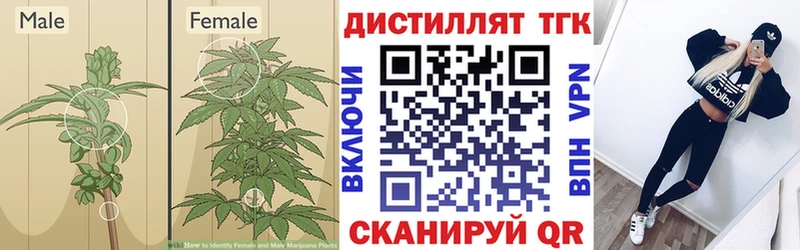Дистиллят ТГК вейп с тгк  Лермонтов 