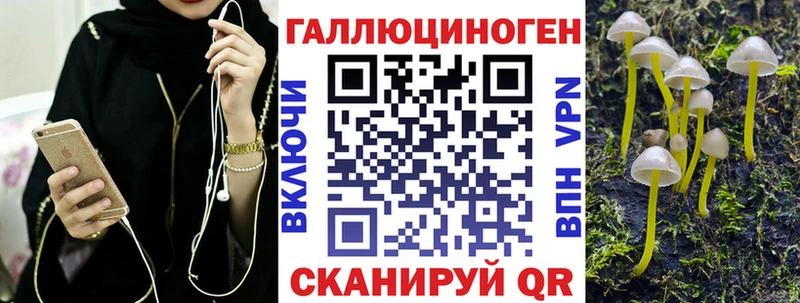 купить   Лермонтов  Галлюциногенные грибы ЛСД 