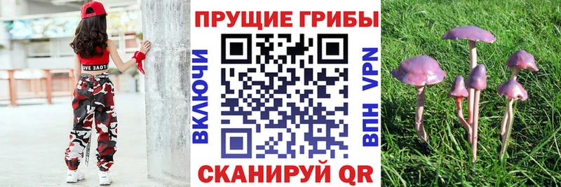 Галлюциногенные грибы мухоморы Лермонтов